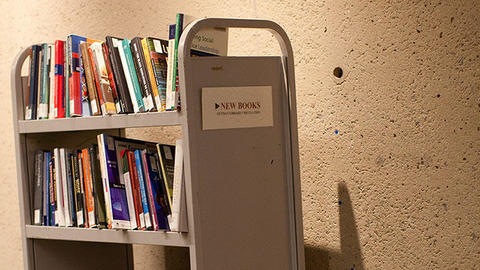 books on shelf